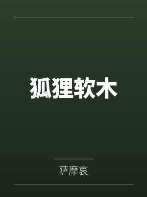 狐狸软木
