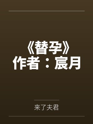 《替孕》 作者:宸月
