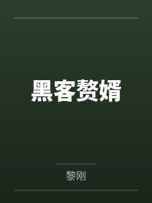 黑客赘婿